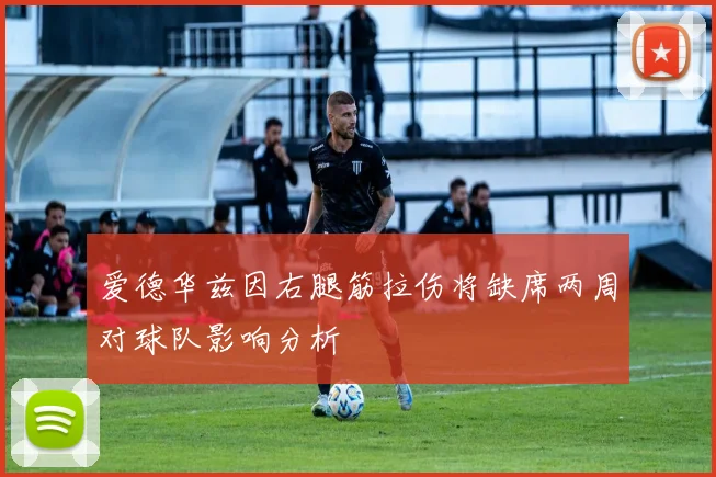 爱德华兹因右腿筋拉伤将缺席两周对球队影响分析