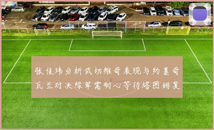 张佳玮分析武切维奇表现与约基奇瓦兰对决绿军需耐心等待塔图姆复出