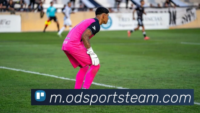 OD体育平台生态图